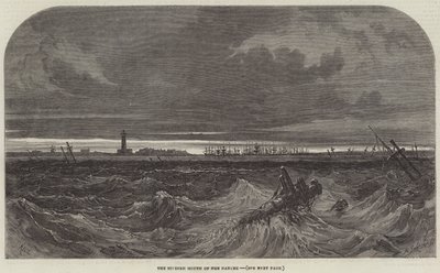 The Sulineh Mouth of the Danube by Samuel Read